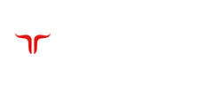 Jetbull Review Logo